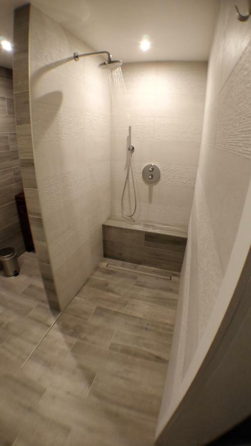 Maison Des Ecluses Strasbourg F3 90M2 Jacuzzi Climatisation Экстерьер фото